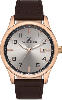 Мужские часы в коллекции Premium Daniel Klein