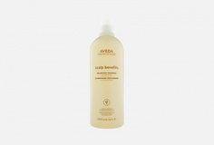 Балансирующий шампунь для волос и кожи головы Aveda