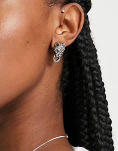 Серьги-гвоздики в форме головы пантеры с отделкой стразами ALDO Rendawen-Золотистый