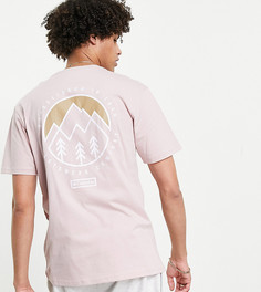 Розовая футболка Columbia Tillamook – эксклюзивно для ASOS-Розовый цвет