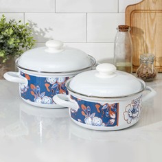 Набор кастрюль flowers, 2 шт: 2 л, 3 л Доляна