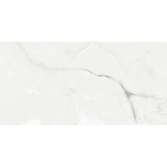 Плитка Absolut Gres Royal Grey Light AB1025G 120x60 см