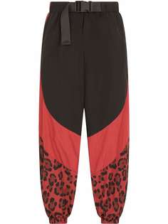 Dolce & Gabbana брюки с леопардовым принтом