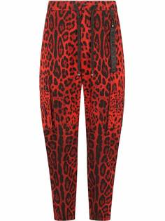 Dolce & Gabbana спортивные брюки с леопардовым принтом