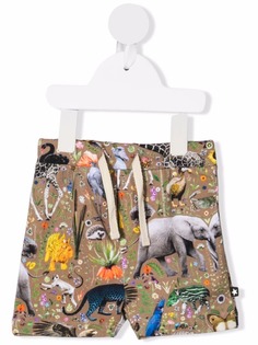 Molo шорты Simroy с принтом