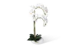 Искусственное растение в кашпо Камень Орхидея Фаленопсис Hoff