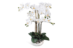 Искусственное растение в кашпо Соты Орхидея Фаленопсис Hoff