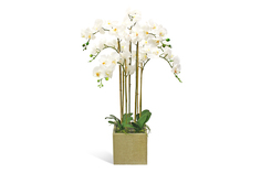 Искусственное растение в кашпо Куб Орхидея Фаленопсис Hoff
