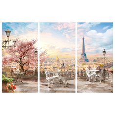 Картина модульная, 99х65 см, 3 модуля, D-707