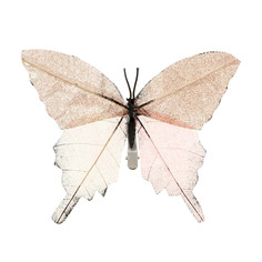 Бабочка декоративная на клипсе Kaemingk 14,5x11 см