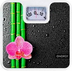 Весы напольные Energy ENM-409D 003116