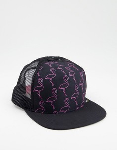 Кепка с неоновым принтом фламинго WESC-Черный