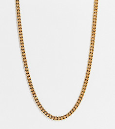 Ожерелье с позолотой 14 карат и Т-образной застежкой ASOS DESIGN Curve-Золотистый