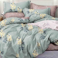 Постельное белье 2-спальное, простыня 200х220 см, 2 наволочки 70х70 см, пододеяльник 175х215 см, Cleo, поплин, коллекция Pure Cotton, 20/192-PC