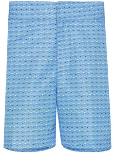 Frescobol Carioca плавки-шорты Classic Swim с принтом Onda