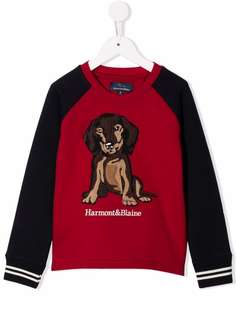 Harmont & Blaine Junior джемпер с нашивкой