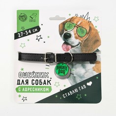 Ошейник для собак rochin dog с адресником Пушистое счастье