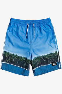 Детские плавательные шорты Jetlag Dreams 15" Quiksilver