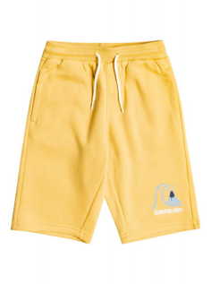 Детские спортивные шорты Easy Day 8-16 Quiksilver
