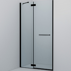 Душевая дверь Iddis