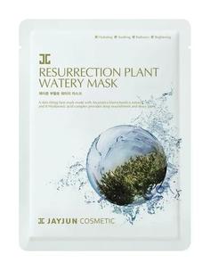 Восстанавливающая тканевая маска JayJun Resurrection Plant Watery Mask с экстрактом иерихонской розы