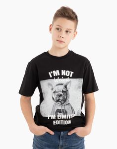 Чёрная футболка с собакой для мальчика Gloria Jeans