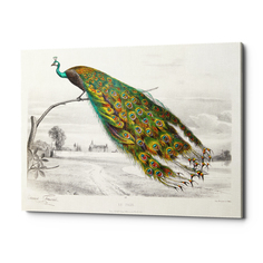 Картина «величественно окрашенный портрет павлина» (object desire) зеленый 75x50x2 см.