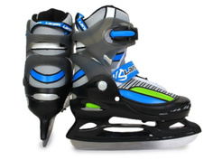 Коньки Larsen Skyline р.38-41 Blue