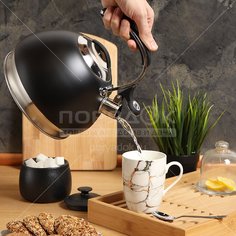 Чайник из нержавеющей стали Daniks MSY-A060B со свистком, 3 л