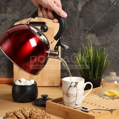 Чайник из нержавеющей стали Daniks MSY-021R красный со свистком, 3 л