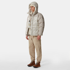 Мужская парка Printed Himalayan The North Face