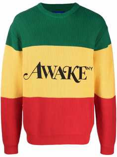 Awake NY джемпер с логотипом