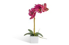 Искусственное растение в кашпо Орхидея Фаленопсис Hoff