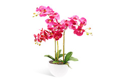 Искусственное растение в кашпо Орхидея Фаленопсис Hoff