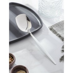 Лопатка magistro