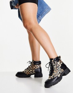 Ботинки со шнуровкой, леопардовым принтом и металлическими люверсами Miss Selfridge-Коричневый цвет