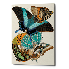 Картина «бабочки мира», версия 13 (object desire) мультиколор 40x60x2 см.