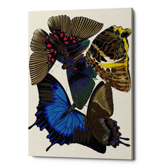 Картина «бабочки мира», версия 10 (object desire) мультиколор 40x60x2 см.