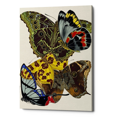 Картина «бабочки мира», версия 7 (object desire) мультиколор 40x60x2 см.
