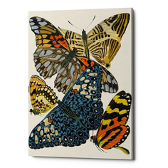 Картина «бабочки мира», версия 17 (object desire) мультиколор 40x60x2 см.