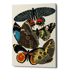 Картина «бабочки мира», версия 16 (object desire) мультиколор 40x60x2 см.