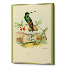 Картина на холсте «жемчужины природы», версия 40 (object desire) зеленый 30x45x2 см.