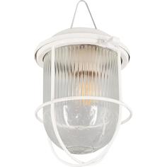 Светильник «Желудь» 1xE27х100 Вт, с решёткой, IP52 ЗАВОД ЭЛЕТЕХ