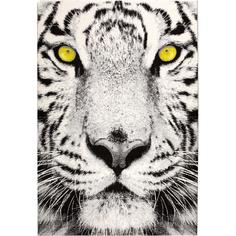 Ковёр Flash 33292/170 1.6х2.25 м полипропилен Balta