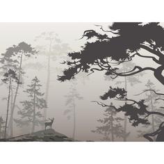 Фотообои флизелиновые «Туманный лес» 370х270 см МОСКОВСКАЯ ОБОЙНАЯ ФАБРИКА