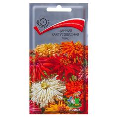 Семена цветов Цинния кактусовидная микс смесь окрасок Поиск