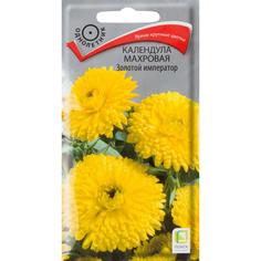 Календула махровая «Золотой император» ПОИСК