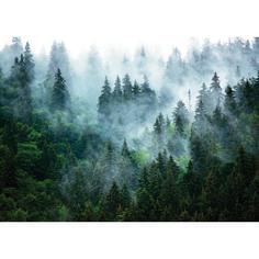 Картина на стекле «Туманный лес 2» 50x70 см Postermarket