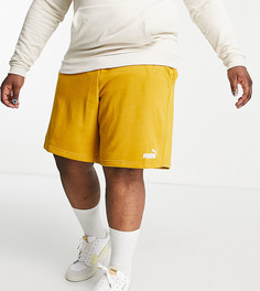 Трикотажные шорты горчичного цвета Puma Plus Essentials – эксклюзивно для ASOS-Желтый