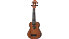 EpiLani Soprano Ukulele Natural Satin Epiphone